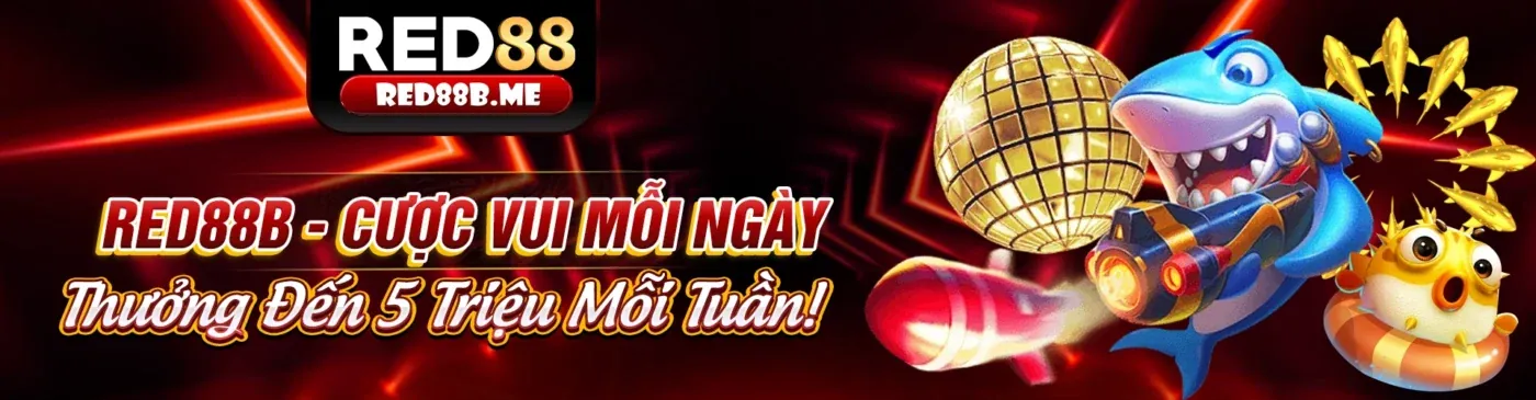 Tối Ưu Trải Nghiệm Người Dùng tại vz99